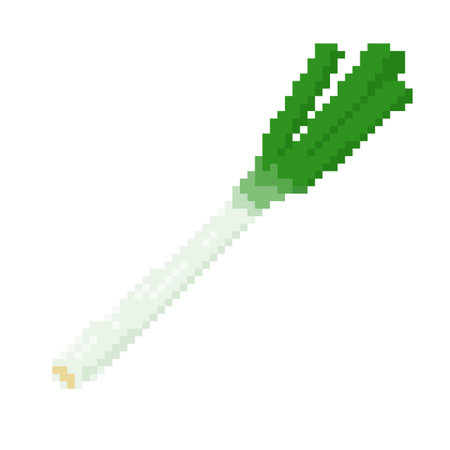 Allium vegetables. It is a vector illustration that is easy to edit.のイラスト素材