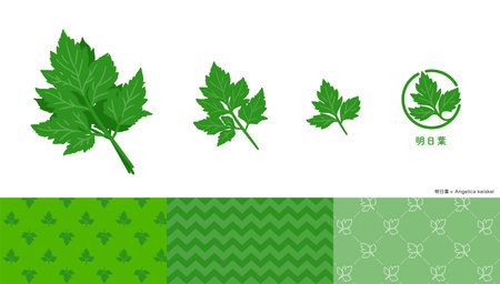 Set of illustrations, icons and patterns of angelica.のイラスト素材