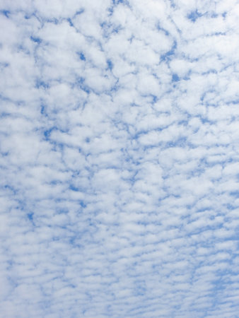 Photo of a beautifully patterned sky filled with clouds. A display of the beauty of nature.