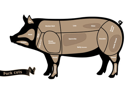 Names of pork cuts in English. It is vector data that is easy to edit.のイラスト素材