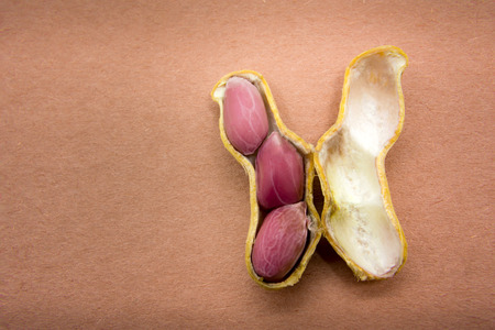 A Cracked Open Peanut Shell with Peanuts inside