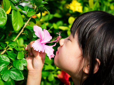 Asian Child Smelling a Pink Flower in the Dayの写真素材