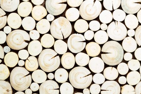 tree stumps background