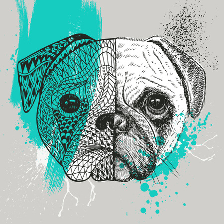 stylized Pug with paint splatters, Hand drawn illustrationのイラスト素材