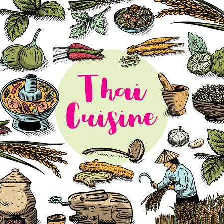 Hand drawn Thai food and herbs on a chalk board, vectorのイラスト素材