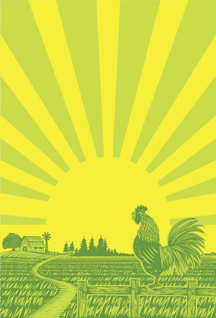 Illustration of Rooster in a farm, Vectorのイラスト素材