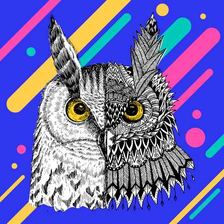 Abstract owl vector illustration.のイラスト素材