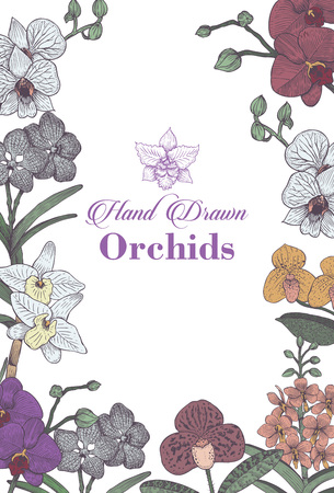 Hand drawn set orchid flowers menu, Vectorのイラスト素材