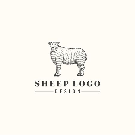 Hand drawn sheep isolated, Vectorのイラスト素材