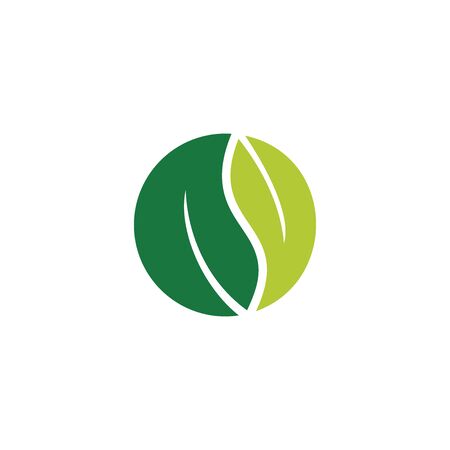 Organic logo vector. Green leaf icon design with white background.のイラスト素材