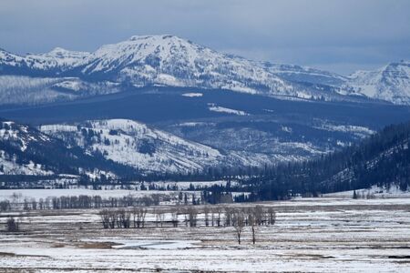 Mountain wilderness in winter, Yellowstone National Park, Wyomingの写真素材