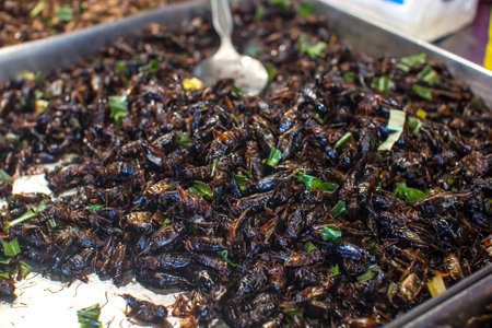 fried insectsの写真素材