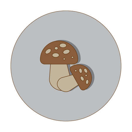 Mushroom plant flat iconの写真素材