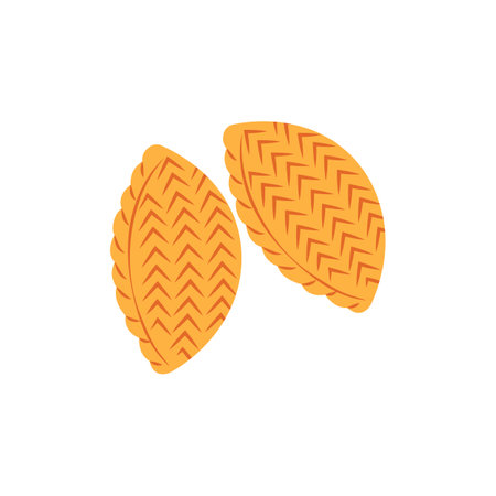 National sweets of Novruz Bayram holiday paxlava, shekerbura, gogal, seed, closeup on a white background, vector.のイラスト素材