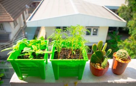 Beginning of lifeの素材