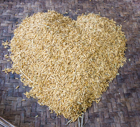 Thai  jasmine rice heart signの写真素材