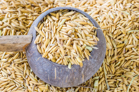Thai  jasmine rice in a wood bowl.の写真素材