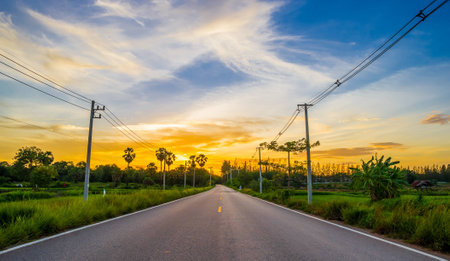 asphalt road through the green field on twilight sunset.の写真素材