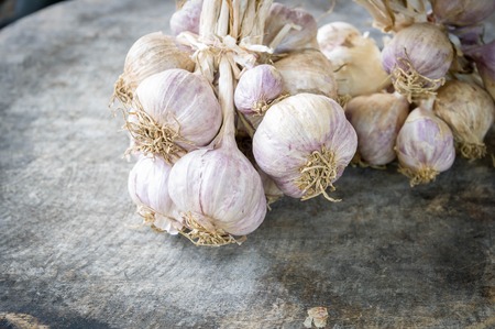 Close up of purple garlic on wooden background (Alliums, Alliaceae)の写真素材