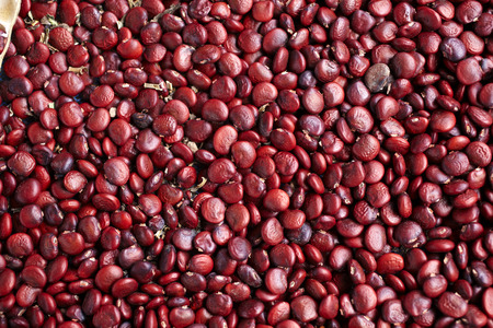 red bean backgroundの写真素材