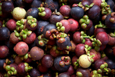 background from tropical fruit