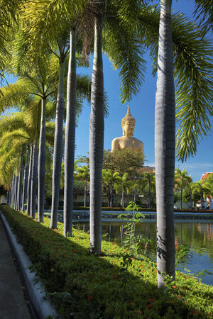 yellow buddhism art and blue sky in thailand の写真素材