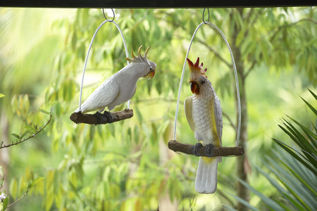 two parrot toy hang on green backgroundの写真素材