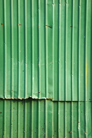 old green wall in sun lightの写真素材
