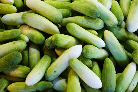 close up thai cucumber in market