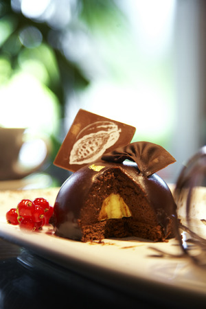 close up chocolate and vanilla lava in white dishの写真素材