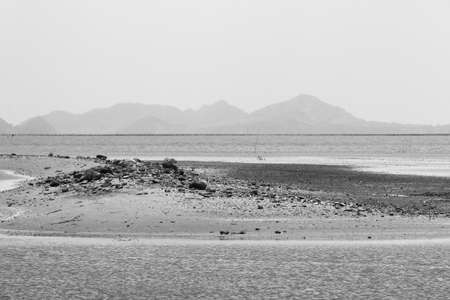 sea and beach in summerの写真素材