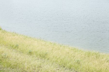 green and yellow grass at lake in summerの写真素材