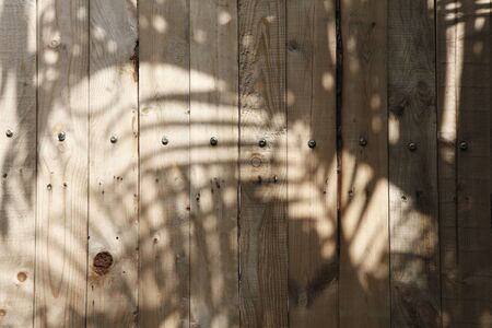 old rustic wooden plank and shadow from tree in gardenの写真素材
