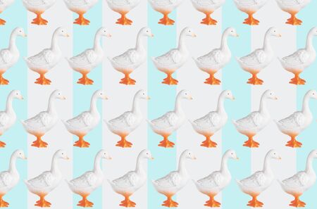 Plastic duck doll isolated on color backgroundの写真素材