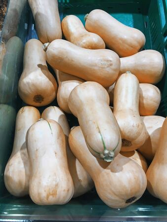 Group of sweet butternut, Butternut on plastic tray in supermarketの写真素材
