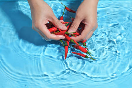 Woman hand washing bird pepper in clean water. Wash vegetables before cookingの写真素材