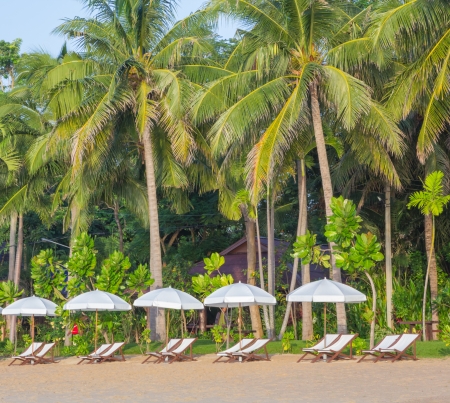 Beach Umbrella and Chairs, Phetburi province, Thailand の写真素材