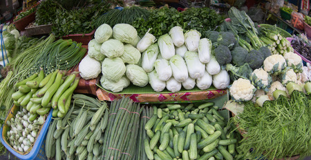 Fresh vegetables, Cabbage, carrots, cucumbers, eggplant in the market.のeditorial素材