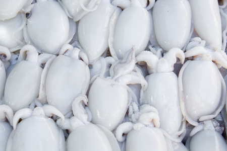 Fresh squid on sale in the market for cooking.の写真素材