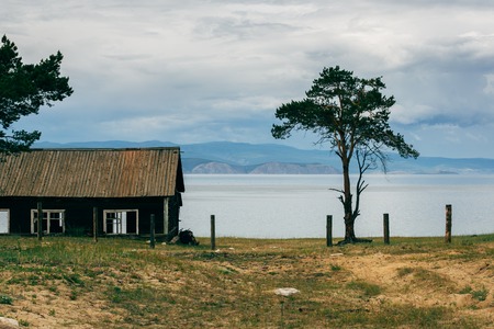 A lonely tree near an abandoned house on the beachの写真素材