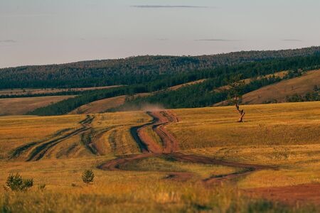 A sandy road through a green field