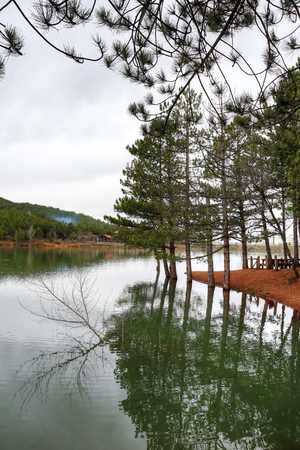 Camlik national park and lake, green pine forested hills, pinery at Yozgat city in Turkeyの写真素材