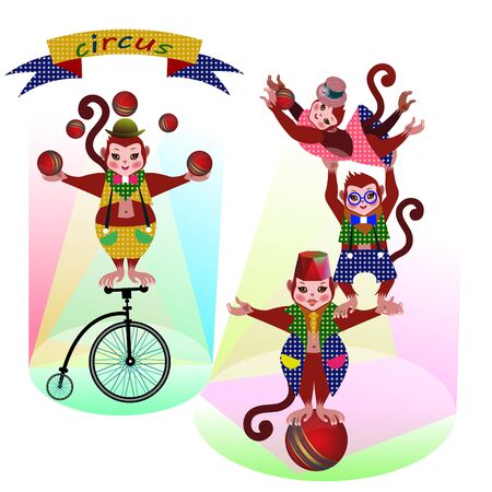 Funny circus Monkeysの写真素材