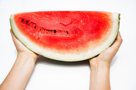 Watermelon in hands on white background. Isolated watermelon.の写真素材
