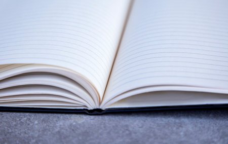 Open book with blank pages on concrete background. Back to school concept.