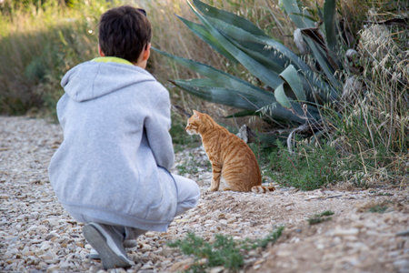 A boy in a gray hoodie is playing with a red cat.の写真素材
