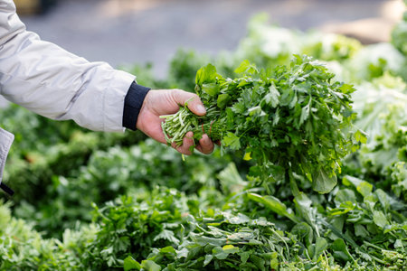 Man holding fresh parsley at local market in Turkey, close-upの写真素材