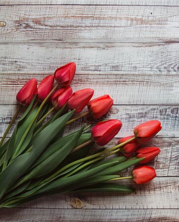 Red tulips with leaves lie on a wooden backgroundの写真素材