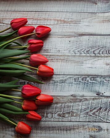 Red tulips with leaves lie on a wooden backgroundの写真素材