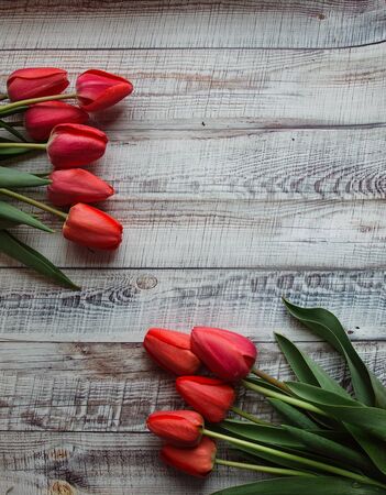 Red tulips with leaves lie on a wooden backgroundの写真素材